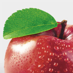 ПРОДЭКСПО-2026